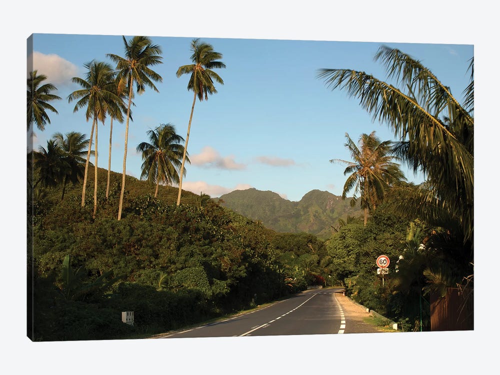 Road With Mountain Peak In The Background, Moorea, Tahiti, French Polynesia II by Panoramic Images 1-piece Canvas Print