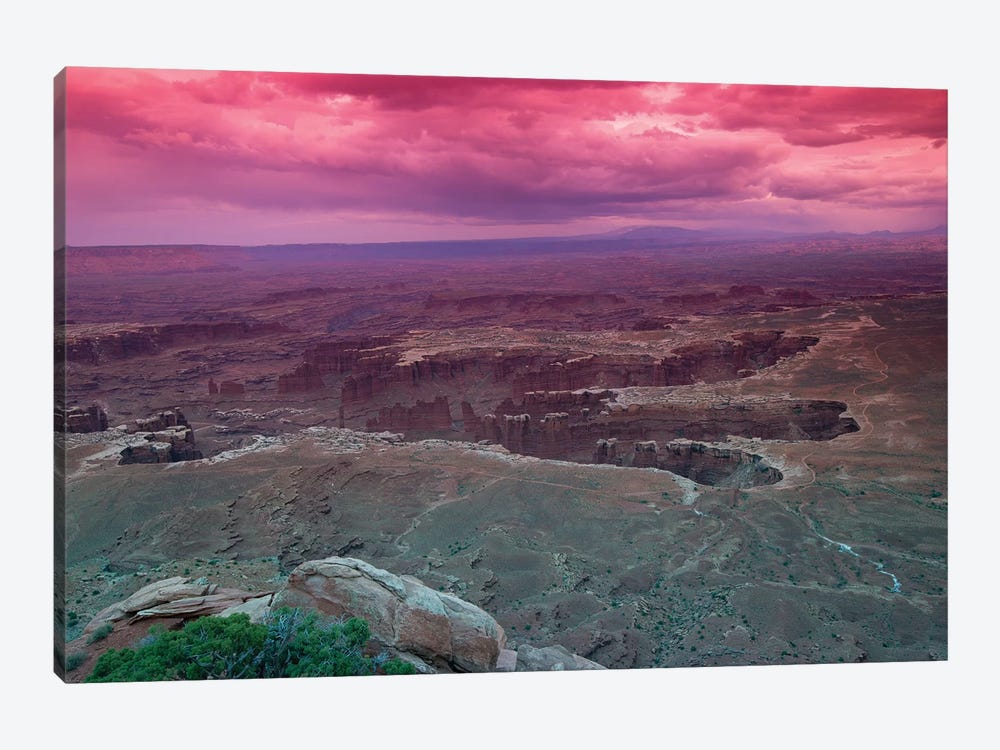 Rock Formations At Canyonlands National Park, Moab, Utah, USA by Panoramic Images 1-piece Art Print