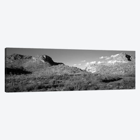 Rock Formations, Ajo Mountain Drive, Organ Pipe Cactus National Monument, Arizona, USA (Black And White) Canvas Print #PIM14855} by Panoramic Images Canvas Print