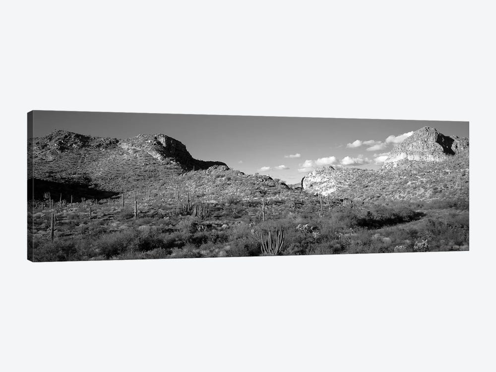 Rock Formations, Ajo Mountain Drive, Organ Pipe Cactus National Monument, Arizona, USA (Black And White) by Panoramic Images 1-piece Art Print