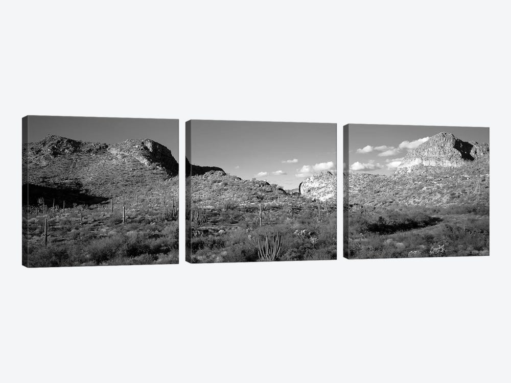Rock Formations, Ajo Mountain Drive, Organ Pipe Cactus National Monument, Arizona, USA (Black And White) by Panoramic Images 3-piece Canvas Art Print