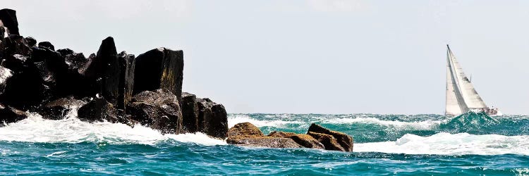 Sailboat Competing In The Grenada Sailing Festival, Grenada I