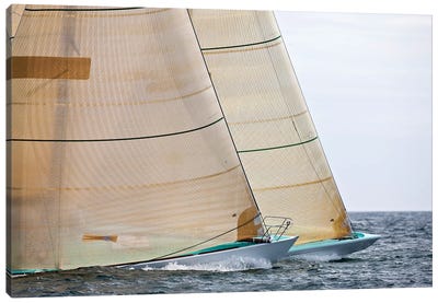 Sailboats Competing In The 12-Metre Class Championship, Newport, Rhode Island, USA Canvas Art Print - Rhode Island Art
