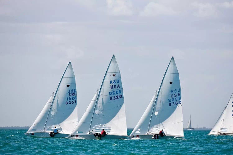 Sailboats In Bacardi Star Regatta, Miami, Florida, USA