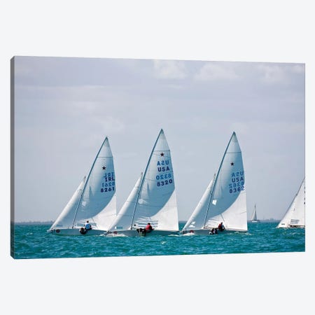 Sailboats In Bacardi Star Regatta, Miami, Florida, USA Canvas Print #PIM14875} by Panoramic Images Canvas Print