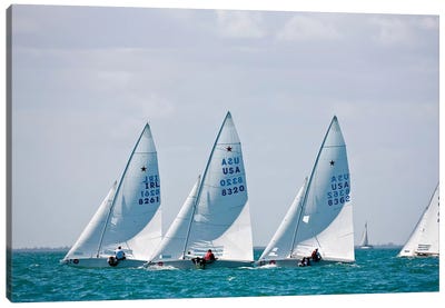 Sailboats In Bacardi Star Regatta, Miami, Florida, USA Canvas Art Print - Boating & Sailing Art