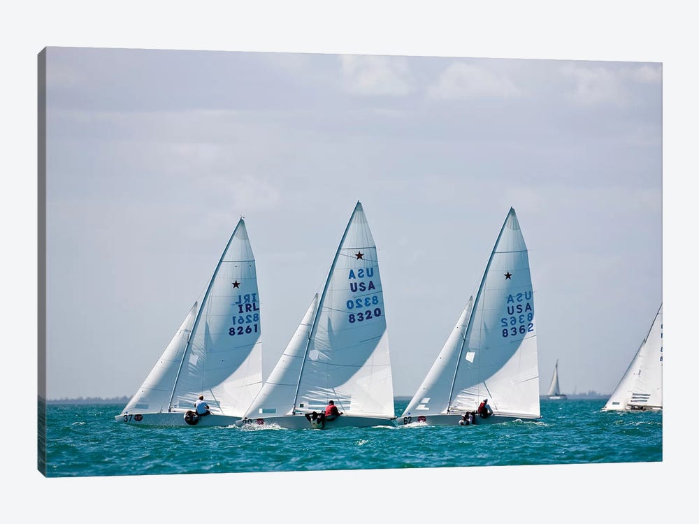Sailboats In Bacardi Star Regatta, Miami, Florida, USA by Panoramic Images 1-piece Canvas Art Print