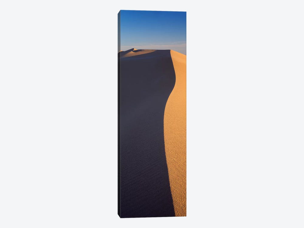 Sand Dunes In A Desert, Algodones Dunes, California, USA by Panoramic Images 1-piece Canvas Wall Art