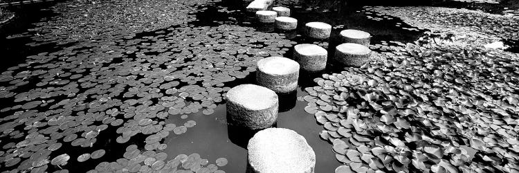 Shrine Garden, Kyoto, Japan (Black And White) II