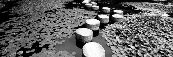 Ponds: Shrine Garden, Kyoto, Japan (Black And White) II by Panoramic Images