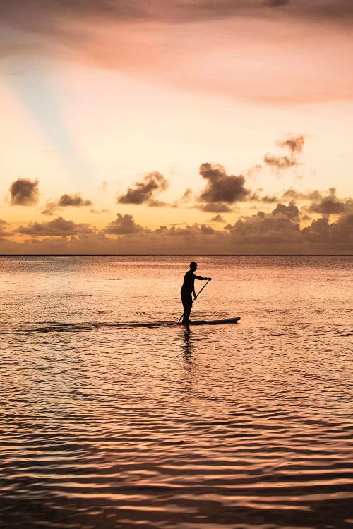 Silhouette Of Man Paddleboarding In The Pacific Ocean, Bora Bora, Society Islands, French Polynesia