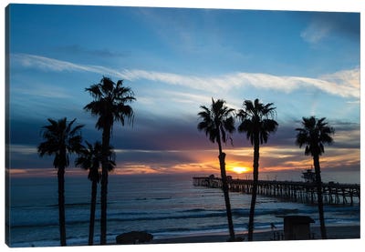 Silhouette Of Palm Trees On The Beach, Laguna Beach, California, USA Canvas Art Print
