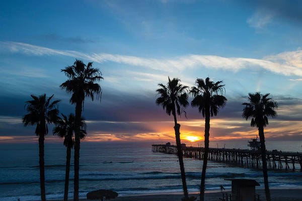 Silhouette Of Palm Trees On The Beach, Laguna Beach, California, USA