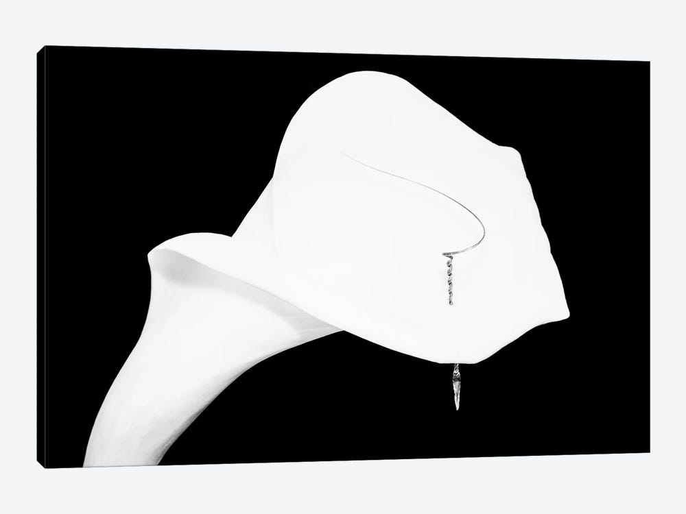 Still Life Shot Of Pierced Calla Lily Flower I by Panoramic Images 1-piece Art Print