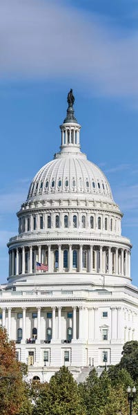 Washington, D.C.: Street View Of Capitol Building, Washington D.C., USA I by Panoramic Images