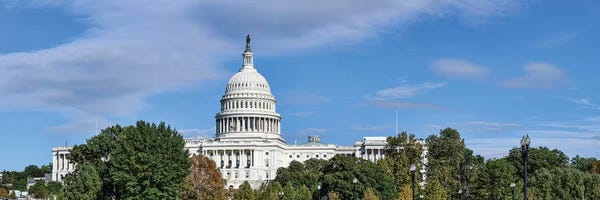 Domes: Street View Of Capitol Building, Washington D.C., USA II by Panoramic Images