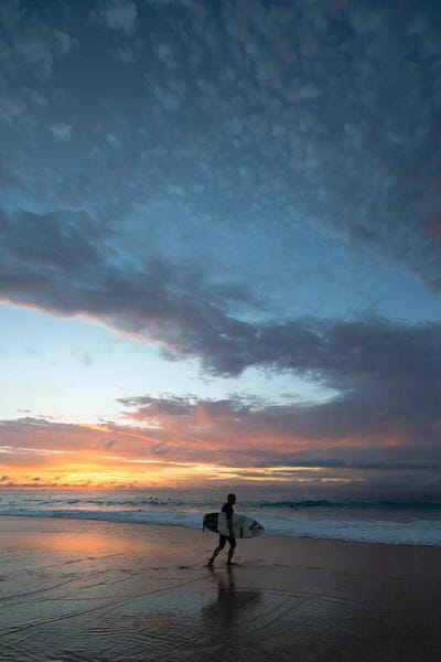 Hawaii: Surfer Walking On The Beach At Sunset, Hawaii, USA III by Panoramic Images