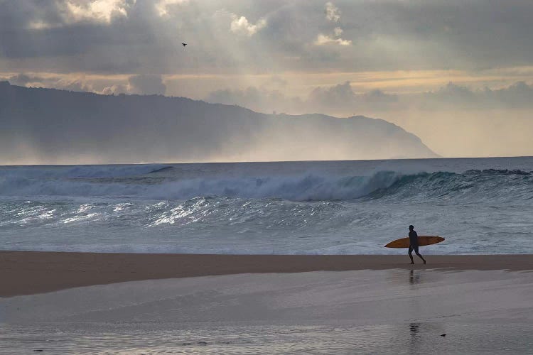 Surfer Walking On The Beach, Hawaii, USA I