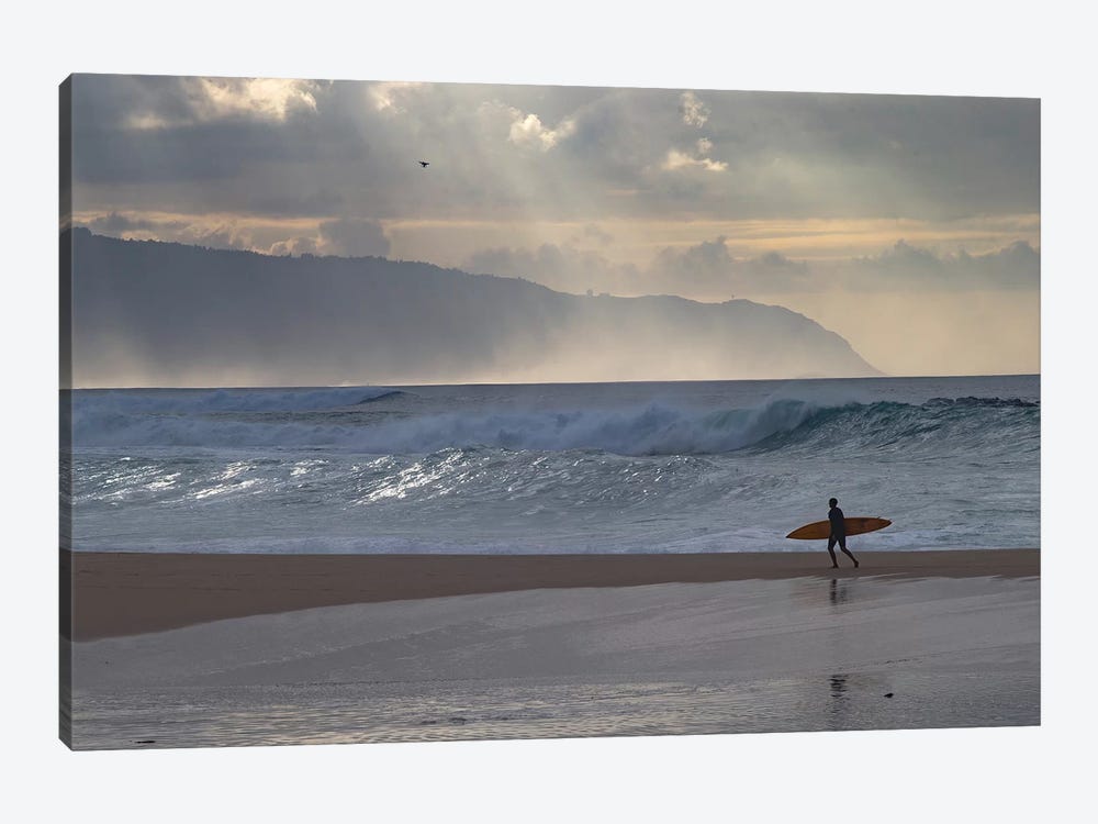 Surfer Walking On The Beach, Hawaii, USA I by Panoramic Images 1-piece Canvas Wall Art
