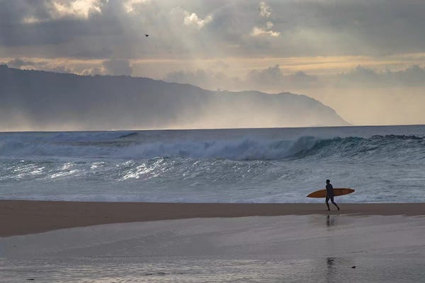 Rain: Surfer Walking On The Beach, Hawaii, USA I by Panoramic Images