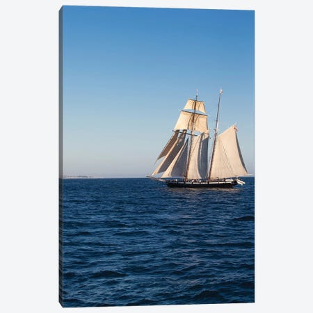 Tall Ship In The Pacific Ocean, Dana Point Harbor, Orange County, California, USA Canvas Print #PIM14958} by Panoramic Images Canvas Art Print