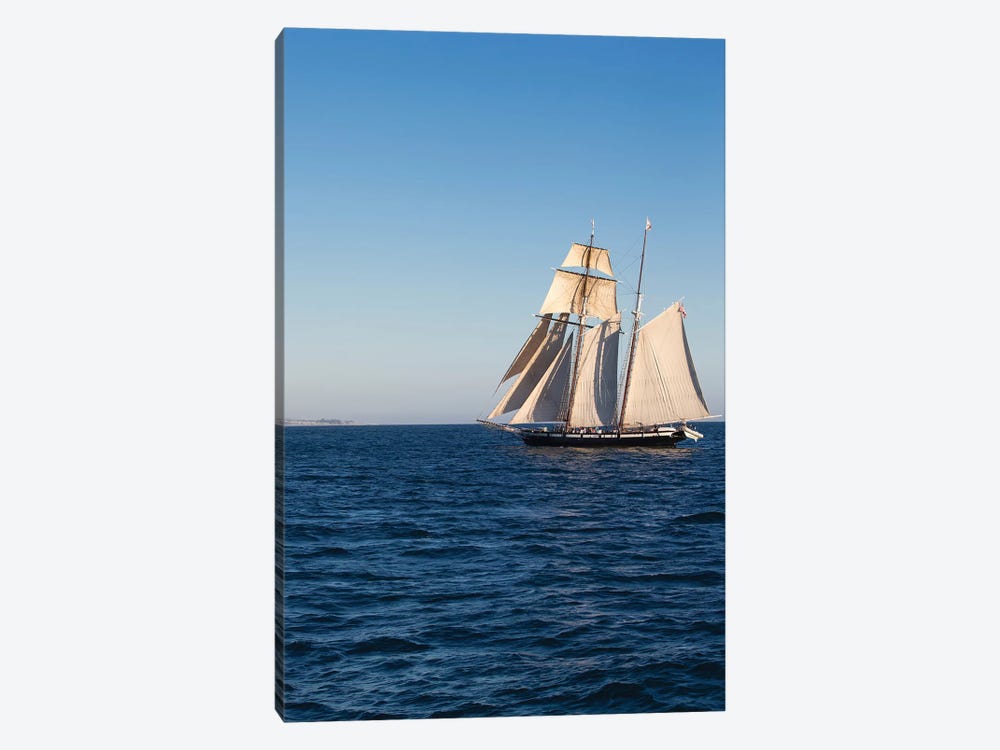 Tall Ship In The Pacific Ocean, Dana Point Harbor, Orange County, California, USA by Panoramic Images 1-piece Canvas Print