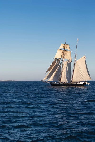 Tall Ship In The Pacific Ocean, Dana Point Harbor, Orange County, California, USA