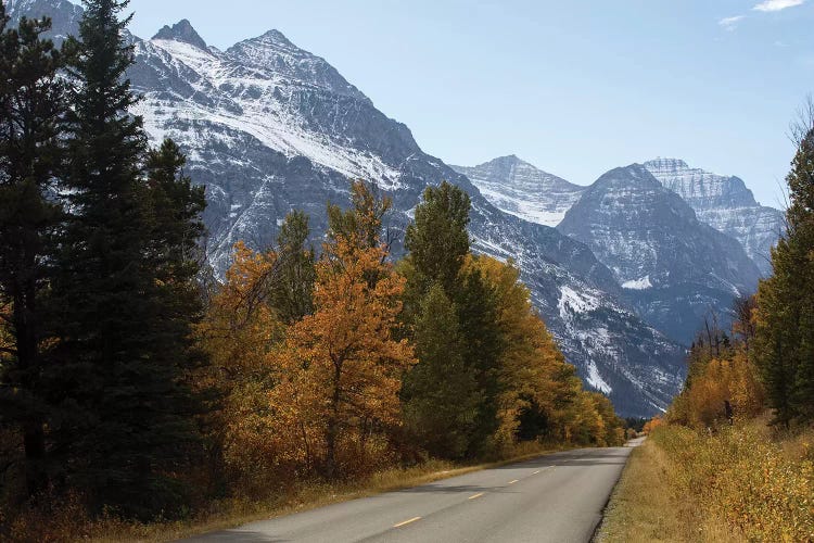 Trees Along A Road With Mountain Range In The Background, Glacier National Park, Montana, USA