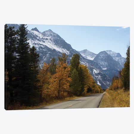 Trees Along A Road With Mountain Range In The Background, Glacier National Park, Montana, USA Canvas Print #PIM14967} by Panoramic Images Canvas Art Print