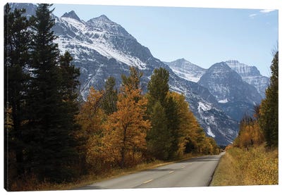 Trees Along A Road With Mountain Range In The Background, Glacier National Park, Montana, USA Canvas Art Print - Glacier National Park Art