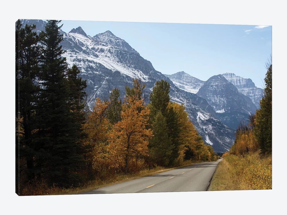 Trees Along A Road With Mountain Range In The Background, Glacier National Park, Montana, USA by Panoramic Images 1-piece Canvas Art Print