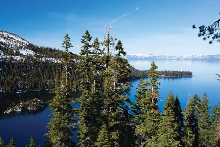 Trees At Lakeshore With Mountain Range In The Background, Lake Tahoe, California, USA II