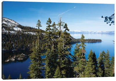 Trees At Lakeshore With Mountain Range In The Background, Lake Tahoe, California, USA II Canvas Art Print