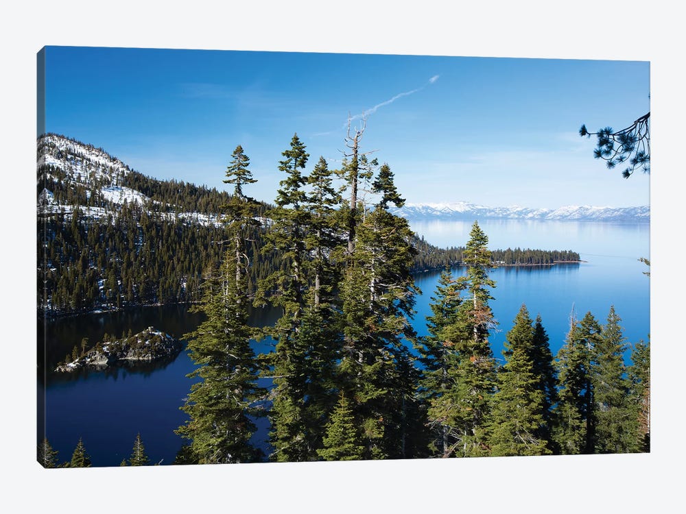 Trees At Lakeshore With Mountain Range In The Background, Lake Tahoe, California, USA II by Panoramic Images 1-piece Art Print