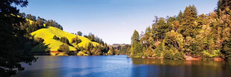 Trees At Lakeshore, Lake Lagunitas, Marin County, California, USA