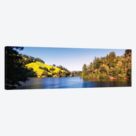 Trees At Lakeshore, Lake Lagunitas, Marin County, California, USA Canvas Print #PIM14970} by Panoramic Images Art Print