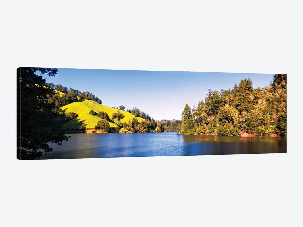 Trees At Lakeshore, Lake Lagunitas, Marin County, California, USA by Panoramic Images 1-piece Canvas Print
