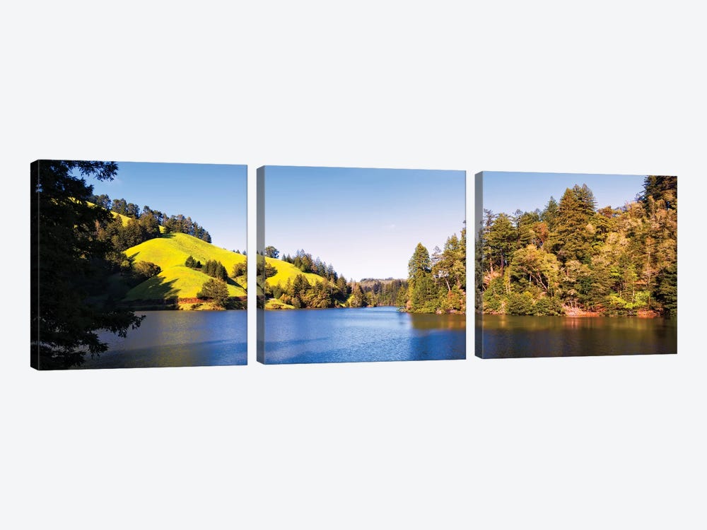 Trees At Lakeshore, Lake Lagunitas, Marin County, California, USA by Panoramic Images 3-piece Canvas Print