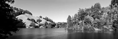 Trees At Lakeshore, Lake Lagunitas, Marin County, California, USA (Black And White) by Panoramic Images canvas print