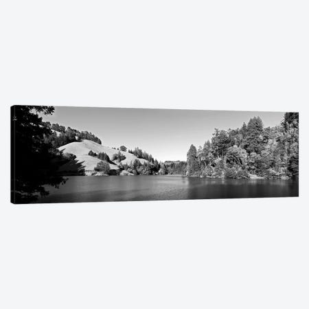 Trees At Lakeshore, Lake Lagunitas, Marin County, California, USA (Black And White) Canvas Print #PIM14971} by Panoramic Images Canvas Print