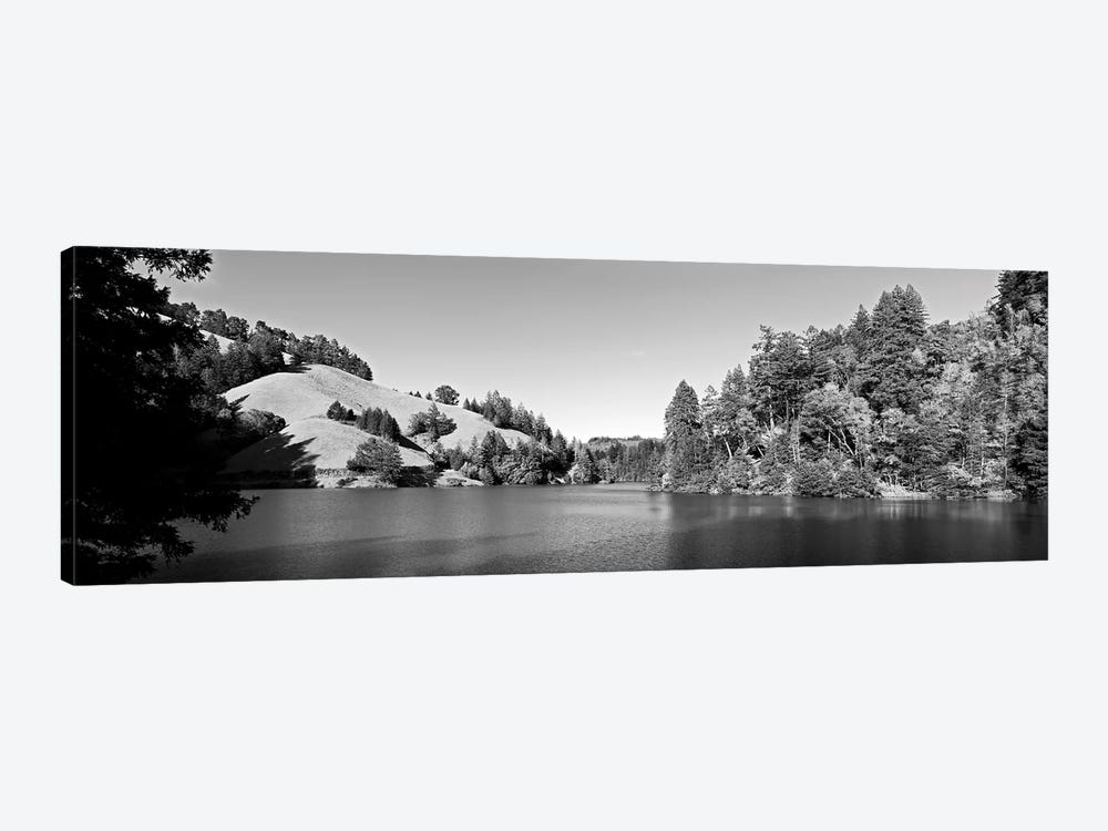 Trees At Lakeshore, Lake Lagunitas, Marin County, California, USA (Black And White) by Panoramic Images 1-piece Canvas Wall Art