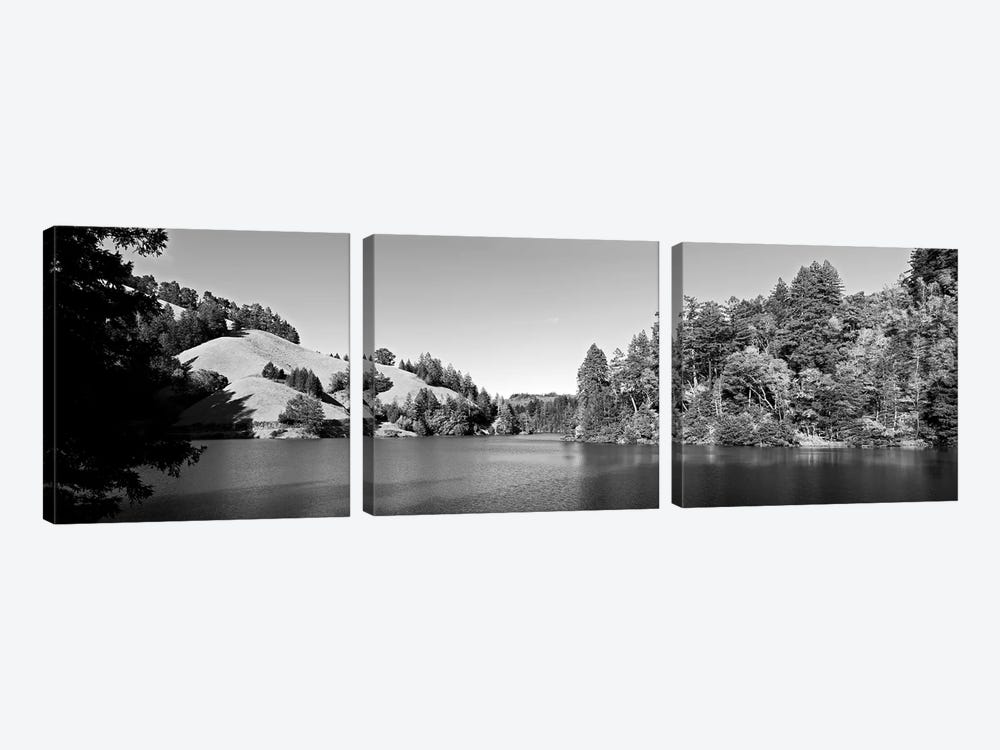 Trees At Lakeshore, Lake Lagunitas, Marin County, California, USA (Black And White) by Panoramic Images 3-piece Canvas Wall Art
