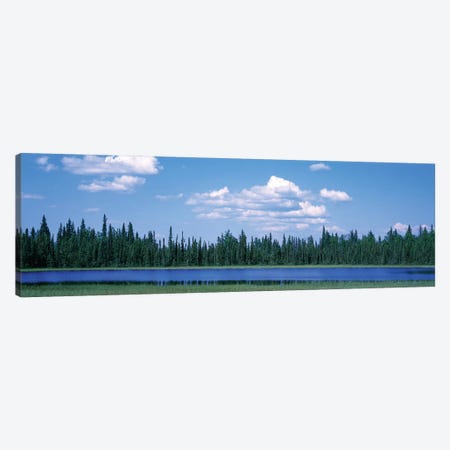 Trees At The Lakeside, Alaska, USA Canvas Print #PIM14972} by Panoramic Images Canvas Art Print