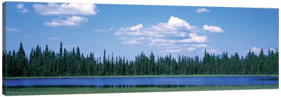 Trees At The Lakeside, Alaska, USA Canvas Art Print - Alaska Art