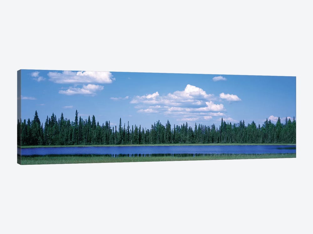 Trees At The Lakeside, Alaska, USA by Panoramic Images 1-piece Canvas Print