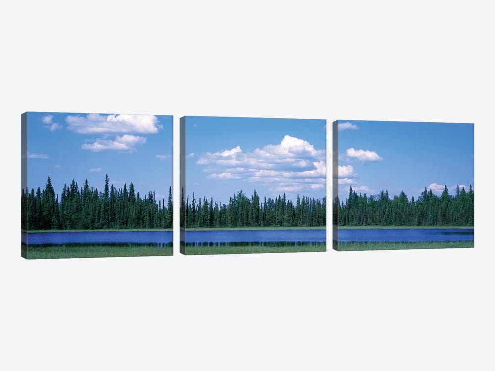 Trees At The Lakeside, Alaska, USA by Panoramic Images 3-piece Canvas Art Print