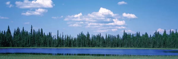 Alaska: Trees At The Lakeside, Alaska, USA by Panoramic Images