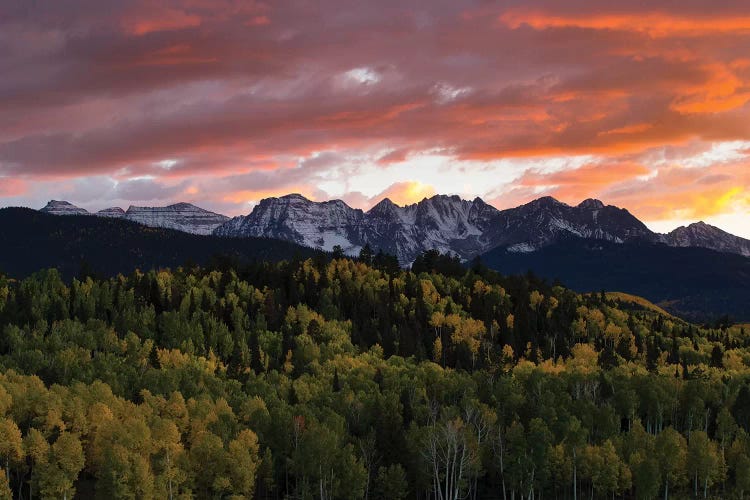 Trees With Mountain Range In The Background At Dusk, Aspen, Pitkin County, Colorado, USA I