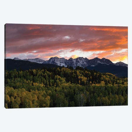Trees With Mountain Range In The Background At Dusk, Aspen, Pitkin County, Colorado, USA I Canvas Print #PIM14977} by Panoramic Images Canvas Artwork