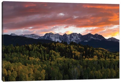 Trees With Mountain Range In The Background At Dusk, Aspen, Pitkin County, Colorado, USA I Canvas Art Print